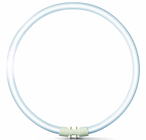 Ochtend gymnastiek Factuur transmissie Philips Master TL5 Circular 55W/840, (diameter 29,3 cm)